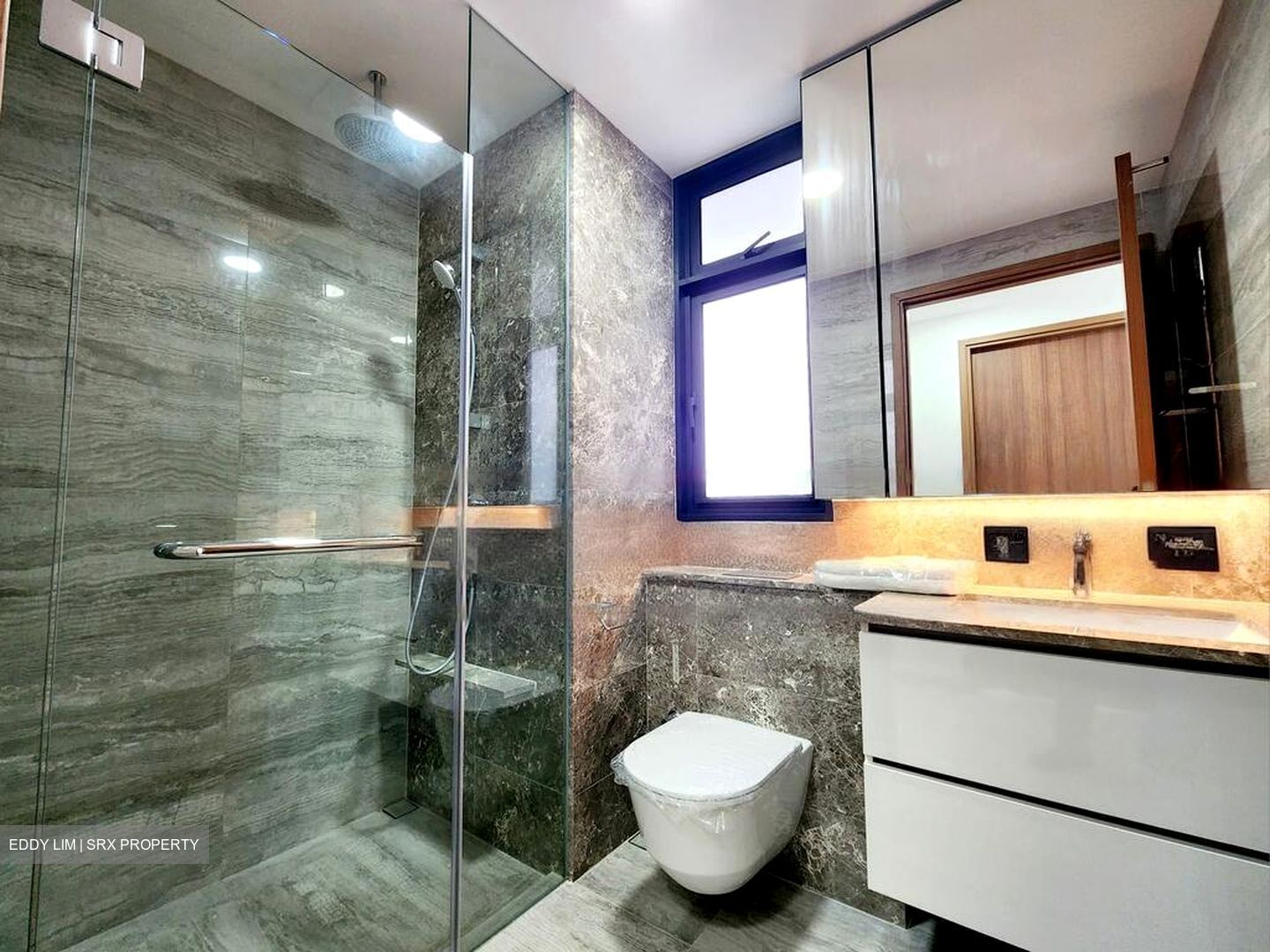 Fourth Avenue Residences (D10), Apartment #480061881